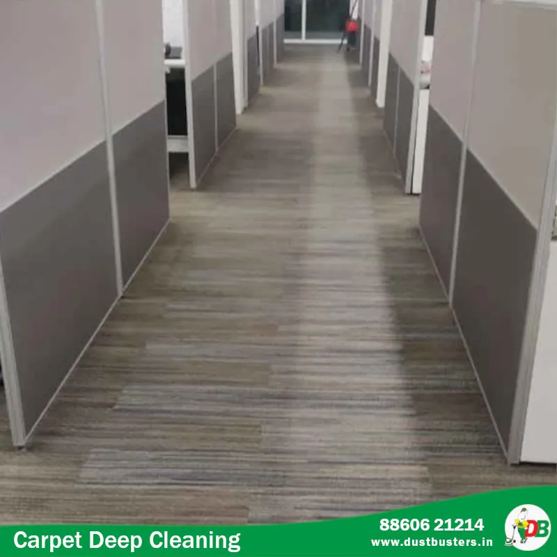 Carpet Deep Cleaning Services for offices by DustBusters in Gurgaon, Delhi, Noida
