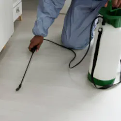 Marble Floor Polishing service, Floor Polishing service for corporate buildings, offices, real estate buildings in Gurgaon, Delhi, Noida and Faridabad